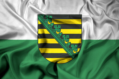 Grün-weiße Sachsenflagge mit Sachsenwappen.